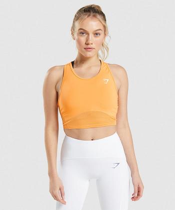 Gymshark Pulse Crop Ženske Majica Bez Rukava Boje Marelice Narančaste | HR 3240HAP